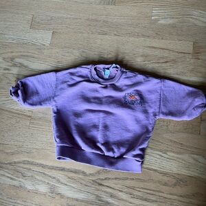 Zara Kids Purple  crew sweatshirt (9-12mos.)